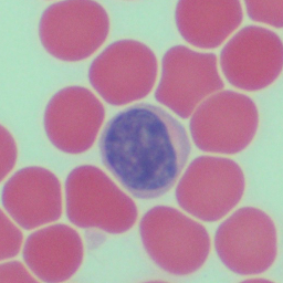 Blood cells
